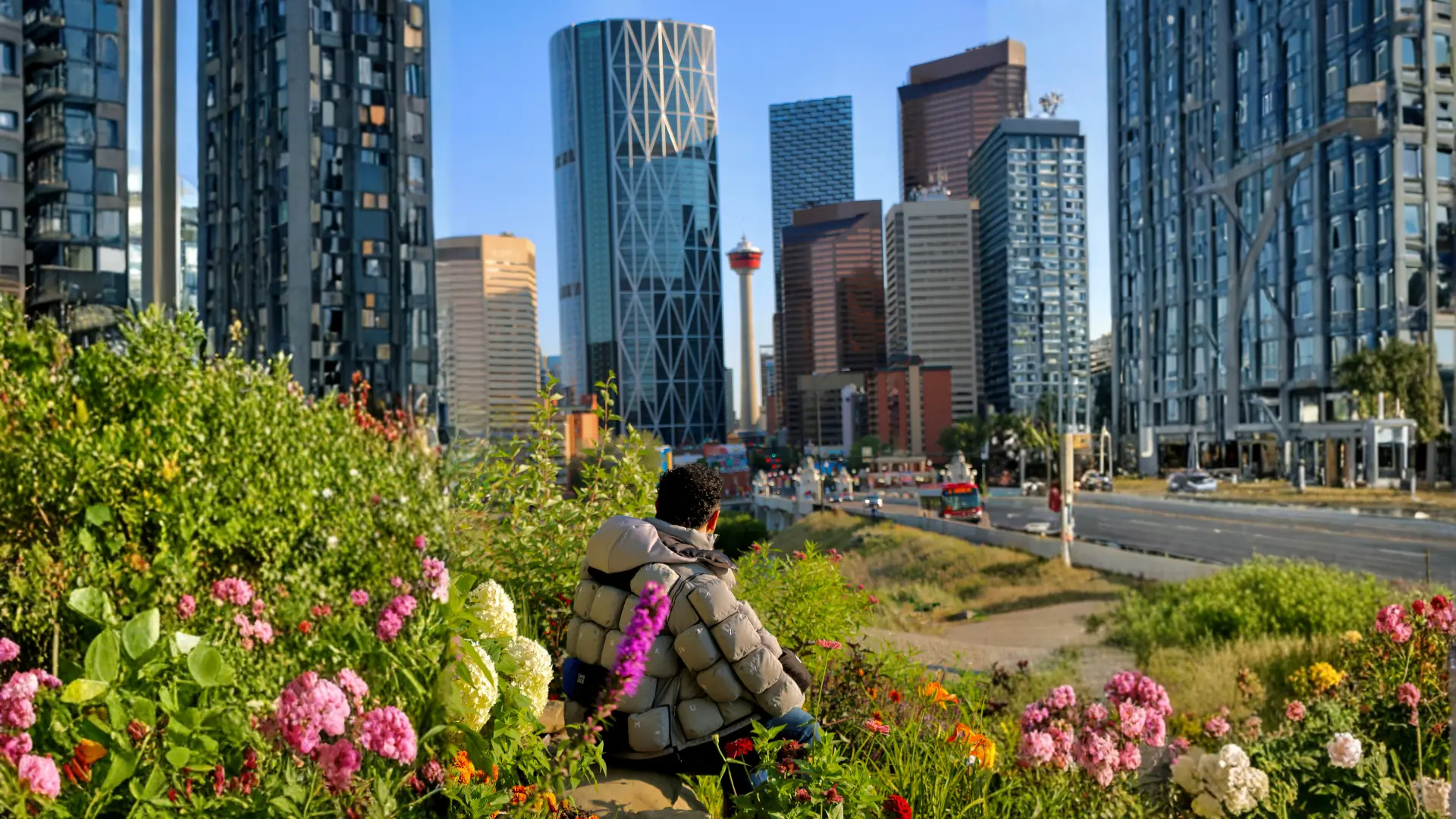 Editorial edit of Muhammad Ahmad in the grey keyboard-key puffer jacket, back to the camera, facing the downtown Calgary skyline under a clear blue sky, wildflowers in the foreground.